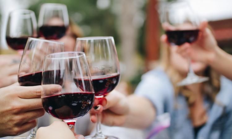 I vini piceni sbancano l’Organic Wine Award International 2022: 6 medaglie per le Marche