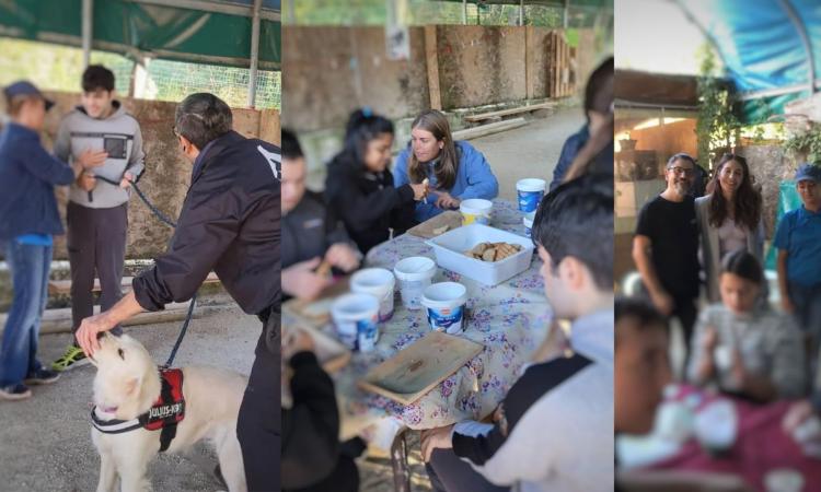 Pet therapy tra i banchi di scuola: cani, conigli e cavalli aiutano i tagazzi dei licei di Camerino Pet therapy tra i banchi di scuola: cani, conigli e cavalli aiutano i tagazzi dei licei di Camerino