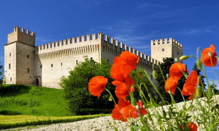 Torna "il Castello degli sposi": la grande esposizione del wedding a Tolentino Torna "il Castello degli sposi": la grande esposizione del wedding a Tolentino