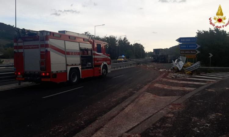 Camion perde il carico di polli: strada statale 76 chiusa al traffico Camion perde il carico di polli: strada statale 76 chiusa al traffico