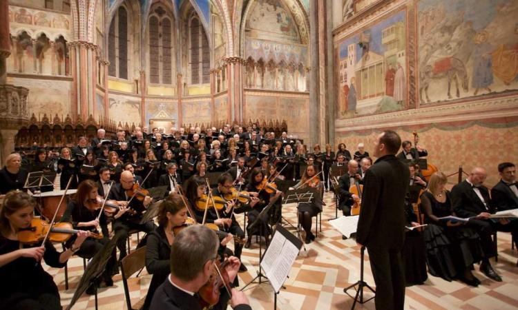 Tolentino, il Rotary organizza una serata di musica e beneficenza a sostegno degli anziani Tolentino, il Rotary organizza una serata di musica e beneficenza a sostegno degli anziani