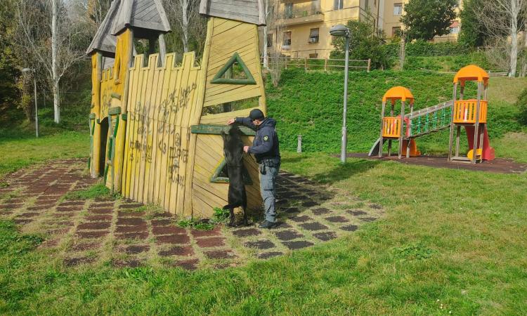 Macerata, controlli antidroga davanti alle scuole: fermati due giovani con l'hashish