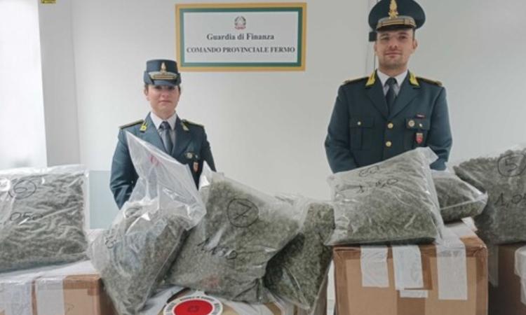 Porto Sant'Elpidio, sequestrati 86 chili di marijuana: 3 maceratesi denunciati Porto Sant'Elpidio, sequestrati 86 chili di marijuana: 3 maceratesi denunciati