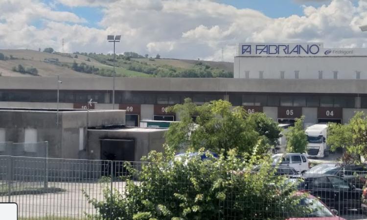 Maltempo, albero caduto trancia fili elettrici: stop produttivo per la cartiera