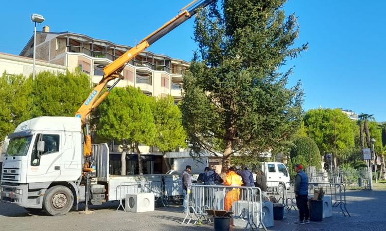 Civitanova si prepara al Natale: in piazza arriva l'albero