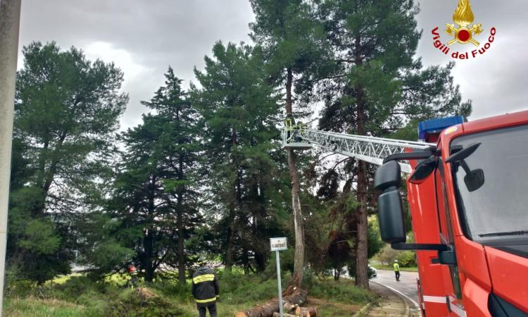 Maltempo, vento forte nelle Marche: via guaina dal tetto della chiesa, vigili del fuoco al lavoro Maltempo, vento forte nelle Marche: via guaina dal tetto della chiesa, vigili del fuoco al lavoro