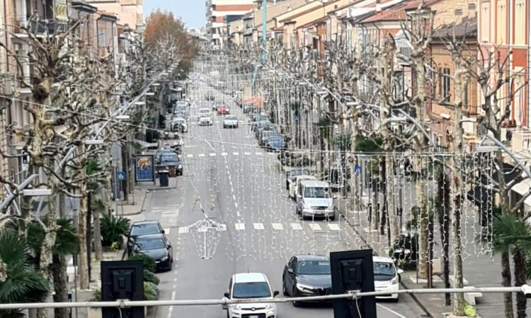 Civitanova, al via il piano potatura degli alberi: si inizia da Corso Umberto Civitanova, al via il piano potatura degli alberi: si inizia da Corso Umberto