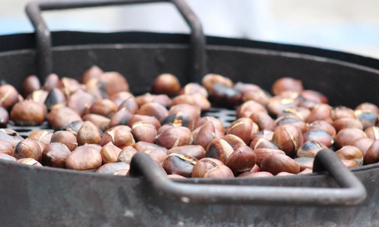 Macerata, castagne, spirito solidale e vin brulé: Colleverde in festa