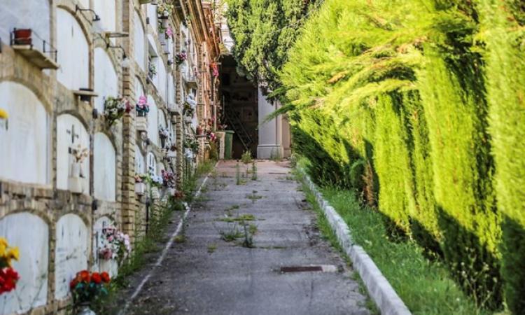 Macerata, cimitero: la Giunta dice sì all'ingresso dei privati nella gestione dei servizi Macerata, cimitero: la Giunta dice sì all'ingresso dei privati nella gestione dei servizi