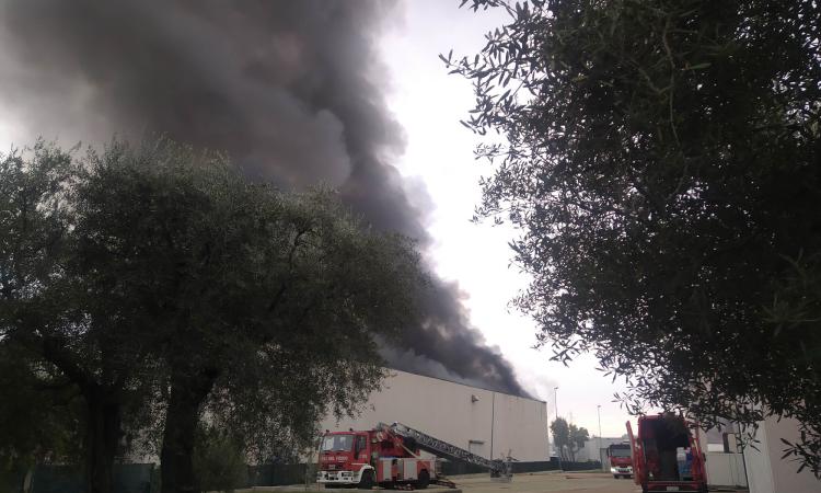 Incendio Rimel: "Risposte subito, mancato raccolto degli ortaggi mette in ginocchio gli agricoltori"