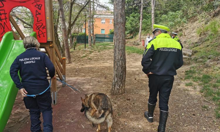 Droga tra i banchi, unità cinofila nelle scuole di Macerata: segnalata studentessa minorenne Droga tra i banchi, unità cinofila nelle scuole di Macerata: segnalata studentessa minorenne