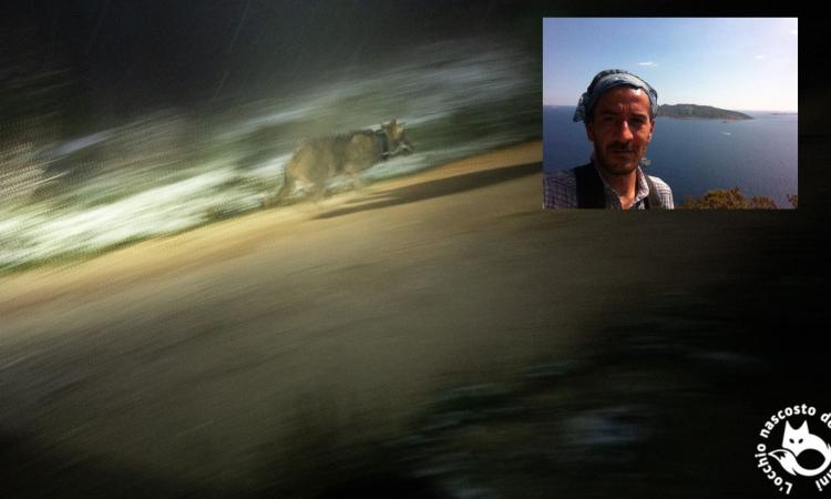 A un giovane lupo il nome di Michele Sensini, la guida dei Sibillini tragicamente scomparsa