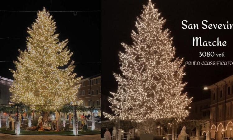 L'albero di Natale più bello delle Marche è quello di San Severino: trionfo a suon di 'like' sui social