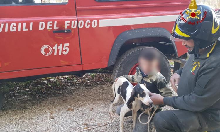 Cane scompare dopo una battuta di caccia: ritrovato dopo due giorni in un cunicolo