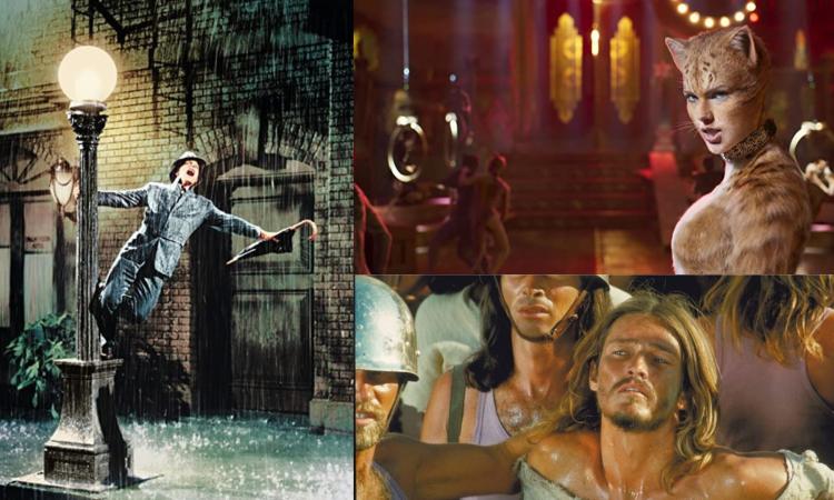 Tolentino, il Politeama torna alle origini e si trasforma in cinema: svelata nuova rassegna Tolentino, il Politeama torna alle origini e si trasforma in cinema: svelata nuova rassegna
