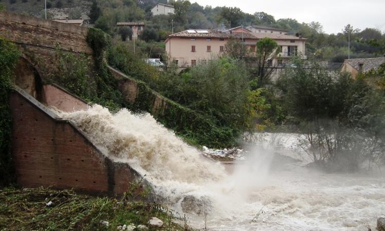 Maltempo San Severino, cade albero sulla strada per Gaglianvecchio. Frane sulle comunali Maltempo San Severino, cade albero sulla strada per Gaglianvecchio. Frane sulle comunali