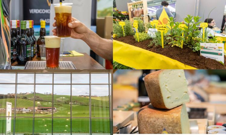 Tipicità Festival, dai vini alle farine passando per i grandi chef: l'edizione 2023 scalda i motori