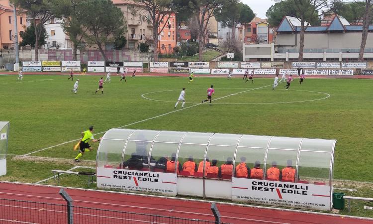 Serie D, il Tolentino sbatte contro il Matese: al 'Della Vittoria' finisce 0-0