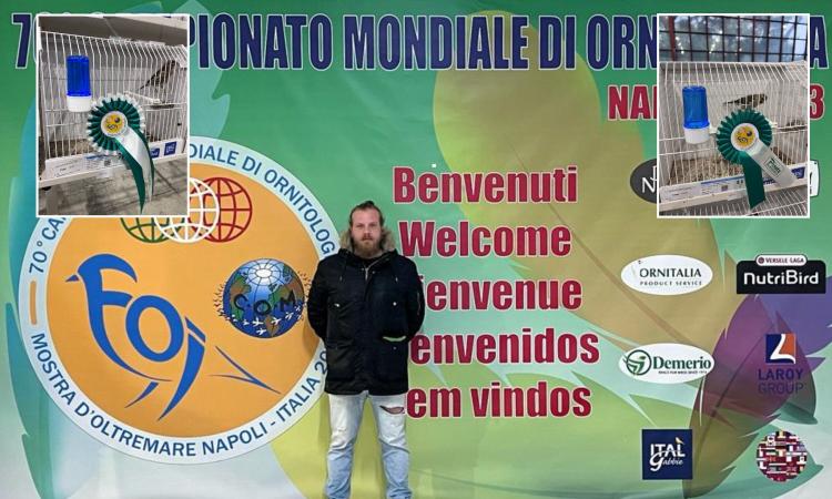 Montefano, i suoi Fringillidi diventano campioni del mondo: Davide Petroselli trionfa a Napoli
