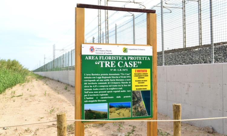 Civitanova, Legambiente contro villaggio vacanze nel litorale nord: "Sorgerebbe in un'area protetta" Civitanova, Legambiente contro villaggio vacanze nel litorale nord: "Sorgerebbe in un'area protetta"