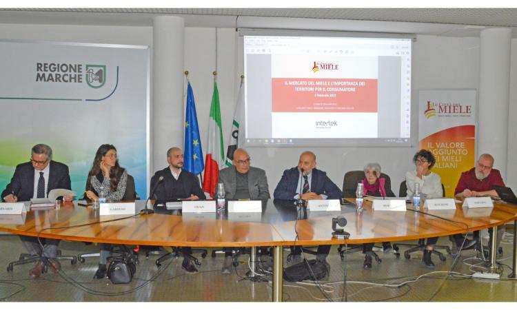 Marche, numeri da record per l'apicoltura: "Settore del miele in forte crescita" Marche, numeri da record per l'apicoltura: "Settore del miele in forte crescita"