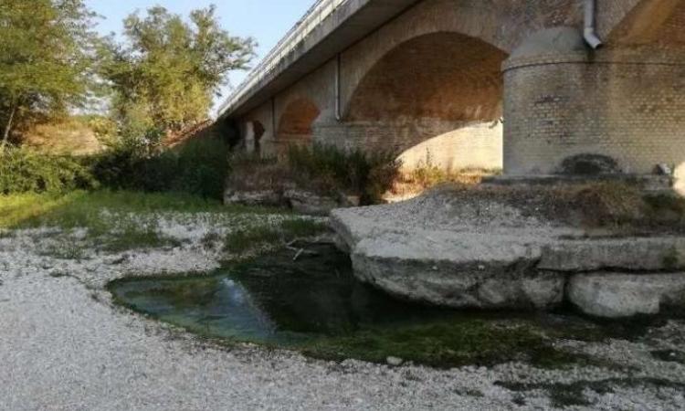 Due milioni per la messa in sicurezza del ponte sulla Provinciale 46: ok al progetto