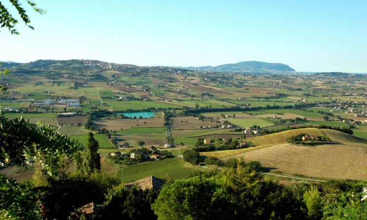 Val Potenza, "No a nuova strada a percorrenza veloce": nasce il comitato "Una valle da vivere" Val Potenza, "No a nuova strada a percorrenza veloce": nasce il comitato "Una valle da vivere"