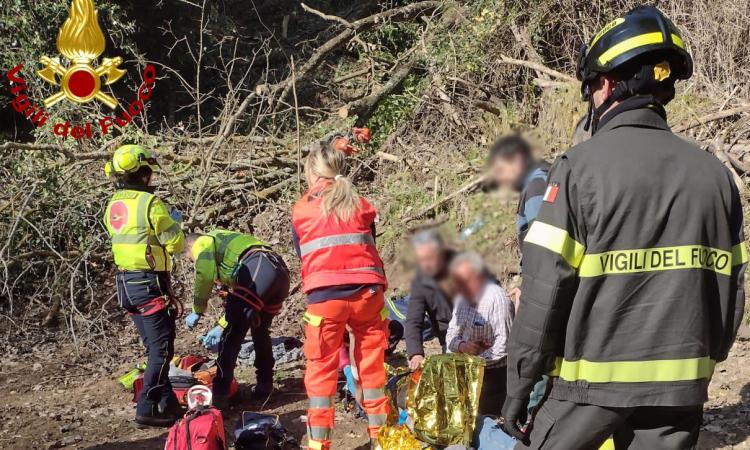 Grave infortunio mentre taglia un albero: uomo trasportato a Torrette Grave infortunio mentre taglia un albero: uomo trasportato a Torrette