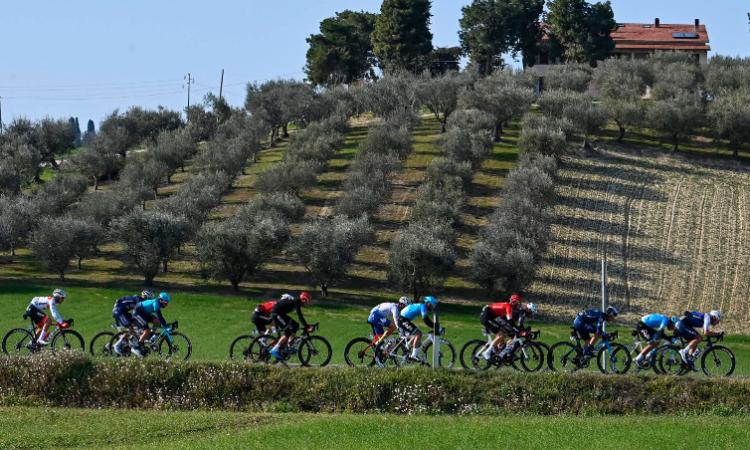 Tirreno Adriatico 2025, a Tolentino strade chiuse per il passaggio delle corsa: come cambia la viabilità Tirreno Adriatico 2025, a Tolentino strade chiuse per il passaggio delle corsa: come cambia la viabilità