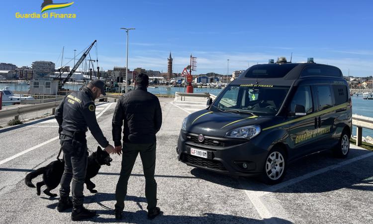 Civitanova, blitz antidroga in un bar: trovata eroina, cocaina e hashish. In tre espulsi dall'Italia