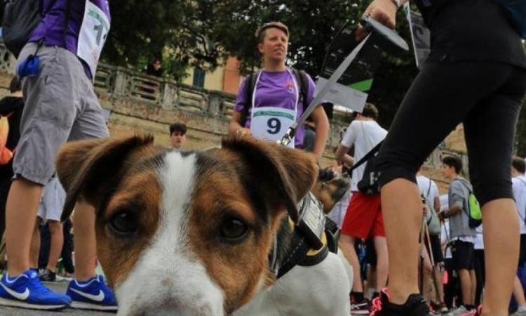 Torna la "Stramacerata": dai giardini Diaz a Corso Cairoli, come cambia la viabilità Torna la "Stramacerata": dai giardini Diaz a Corso Cairoli, come cambia la viabilità