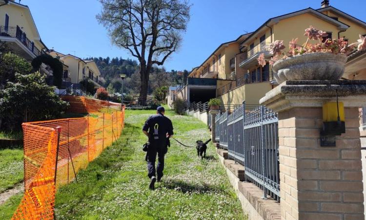 San Severino, cane e gatti morti in due parchi cittadini: caccia ai bocconi avvelenati (FOTO) San Severino, cane e gatti morti in due parchi cittadini: caccia ai bocconi avvelenati (FOTO)