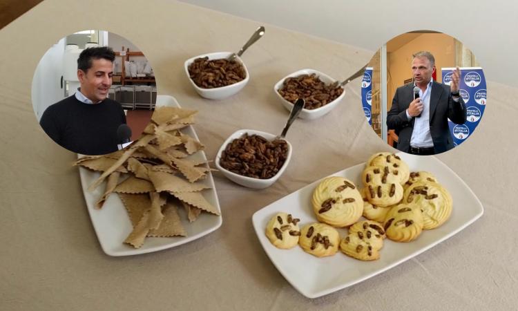 Farina di grilli, Nutrinsect sulle scelte del governo: "L'approccio ideologico danneggia le aziende italiane"