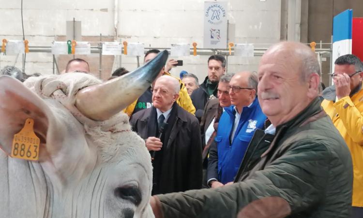 Due aziende maceratesi conquistano Campanialleva: De Luca alla premiazione