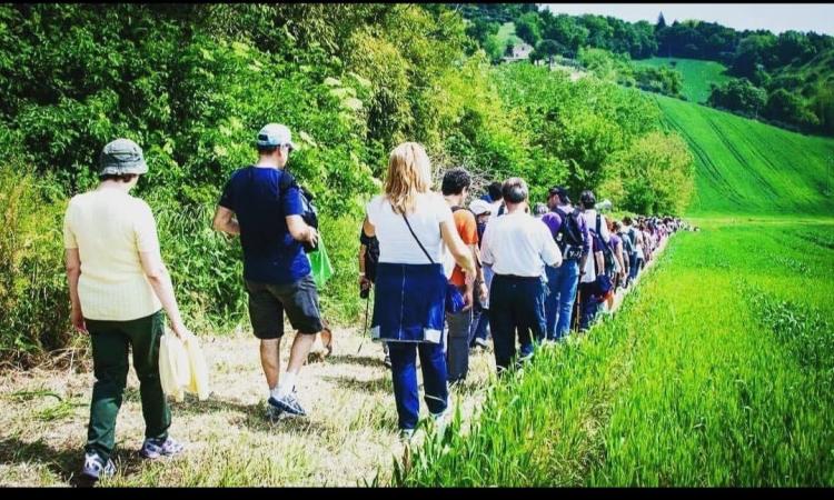 Torna la Magnalonga: camminata enogastronomica tra i sentieri di Mogliano