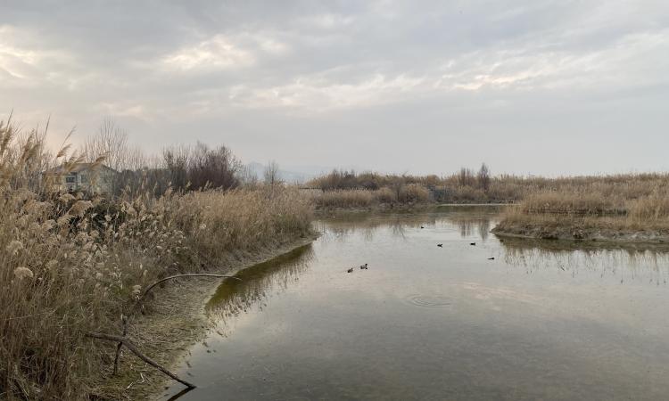 All'Unicam un workshop sull'innalzamento del mare nella riserva naturale della Sentina