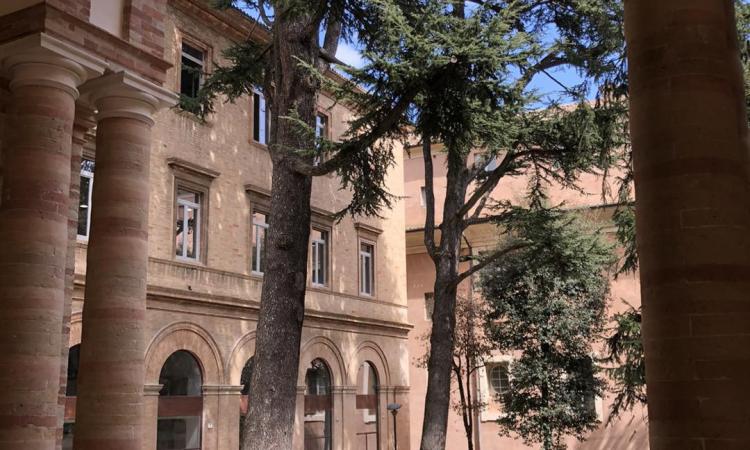 Unimc, convegno sul welfare in Accademia: "Focus sul benessere nei luoghi di studio e lavoro"