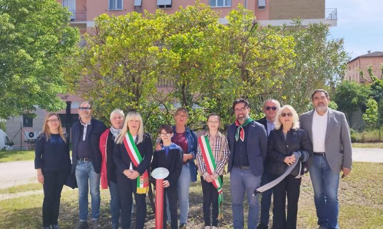 San Severino, dedicato al partigiano Bruno Taborro l'albero della Costituzione San Severino, dedicato al partigiano Bruno Taborro l'albero della Costituzione