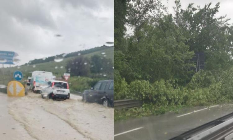 Maltempo nel Maceratese: allagamenti e alberi caduti, disagi in superstrada. Vigili del fuoco al lavoro Maltempo nel Maceratese: allagamenti e alberi caduti, disagi in superstrada. Vigili del fuoco al lavoro