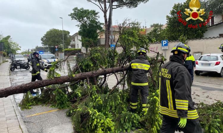 Marche nella morsa del maltempo, anche domani allerta meteo arancione