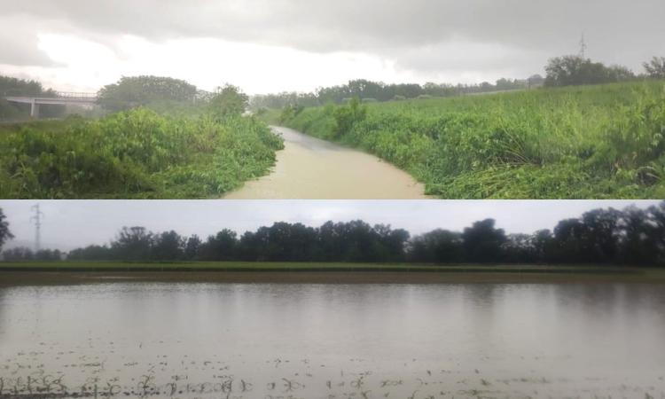 Tolentino, fango e allagamenti: chiuso tratto della strada comunale Piane di Chienti Tolentino, fango e allagamenti: chiuso tratto della strada comunale Piane di Chienti
