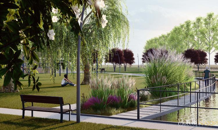 Morrovalle, un bosco urbano adiacente al parco Pegaso: avanti con il progetto Morrovalle, un bosco urbano adiacente al parco Pegaso: avanti con il progetto