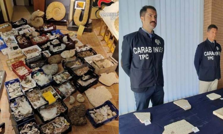 Nel 2022  i furti di beni culturali nelle Marche sono aumentati: a Gagliole sigilli in un museo privato