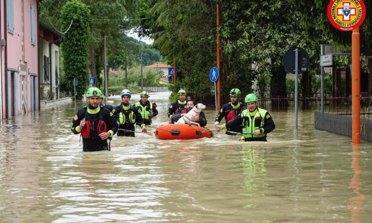 Alluvione, il Soccorso Alpino delle Marche a supporto della popolazione dell'Emilia Romagna