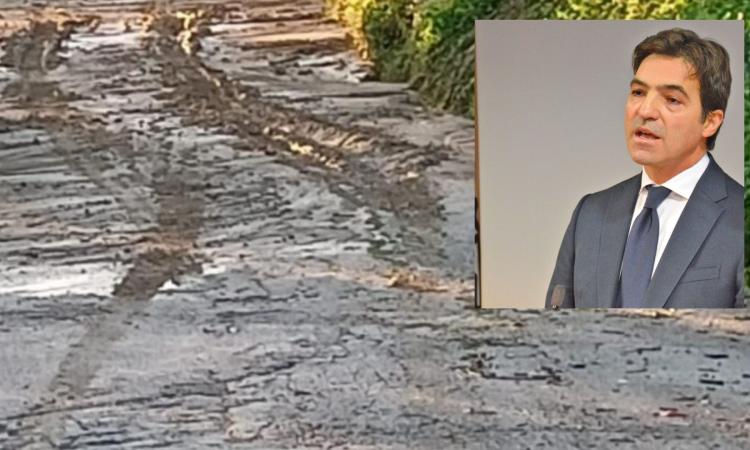 Maltempo, le Marche chiedono lo stato di emergenza. Acquaroli: "Siamo fiduciosi" Maltempo, le Marche chiedono lo stato di emergenza. Acquaroli: "Siamo fiduciosi"