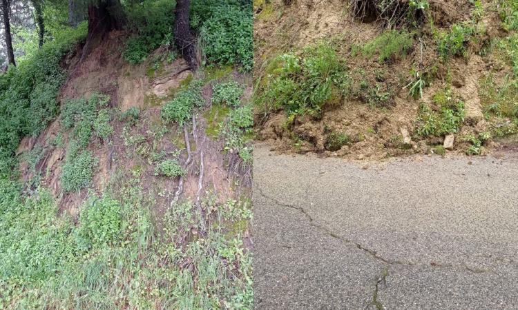 Maltempo San Severino, alberi pericolanti in via Bramante: chiuso tratto di strada Maltempo San Severino, alberi pericolanti in via Bramante: chiuso tratto di strada