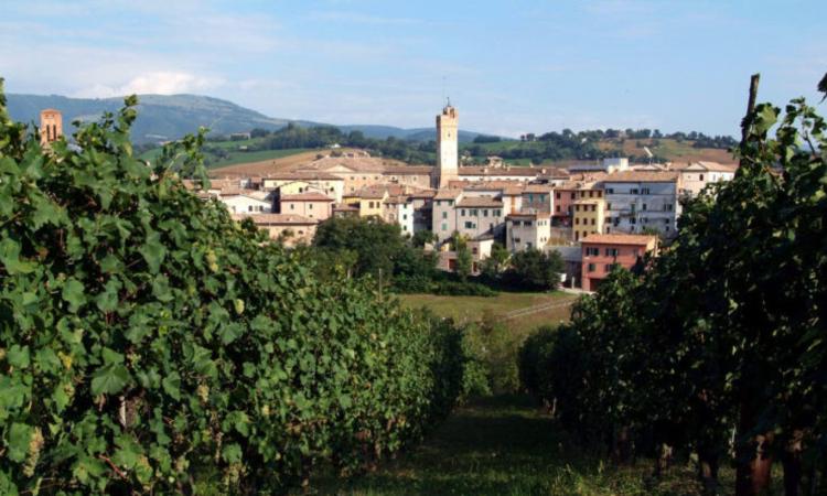 Matelica, nuova edizione di 'Cantine Aperte': la degustazione del Verdicchio sarà itinerante Matelica, nuova edizione di 'Cantine Aperte': la degustazione del Verdicchio sarà itinerante