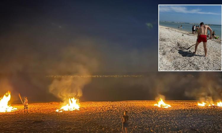 Porto Recanati, in spiaggia depositi di tronchi: a pulire sono i villeggianti (FOTO) Porto Recanati, in spiaggia depositi di tronchi: a pulire sono i villeggianti (FOTO)