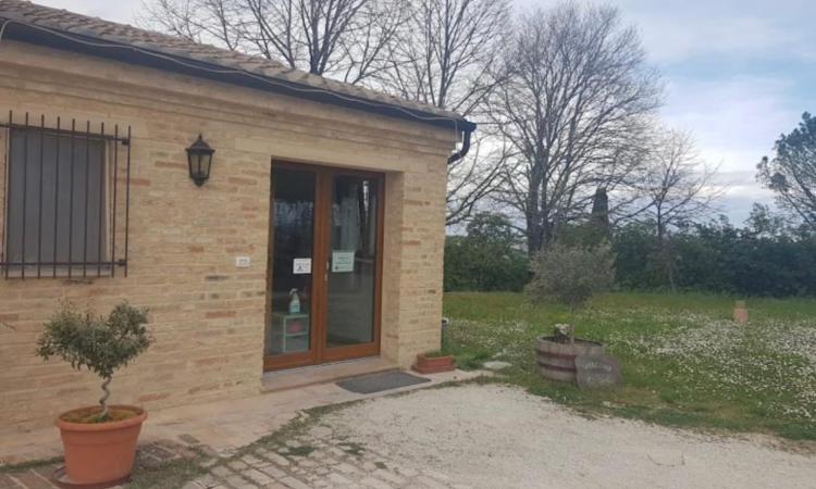 Monte San Giusto, i genitori: "Scuola materna chiusa senza preavviso, era in rosso da 5 anni" Monte San Giusto, i genitori: "Scuola materna chiusa senza preavviso, era in rosso da 5 anni"