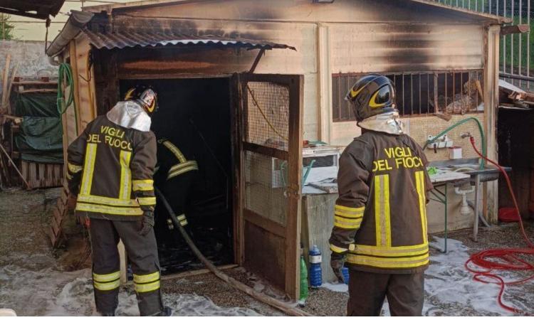 Monte San Giusto, fiamme in un magazzino: intervengono i vigili del fuoco